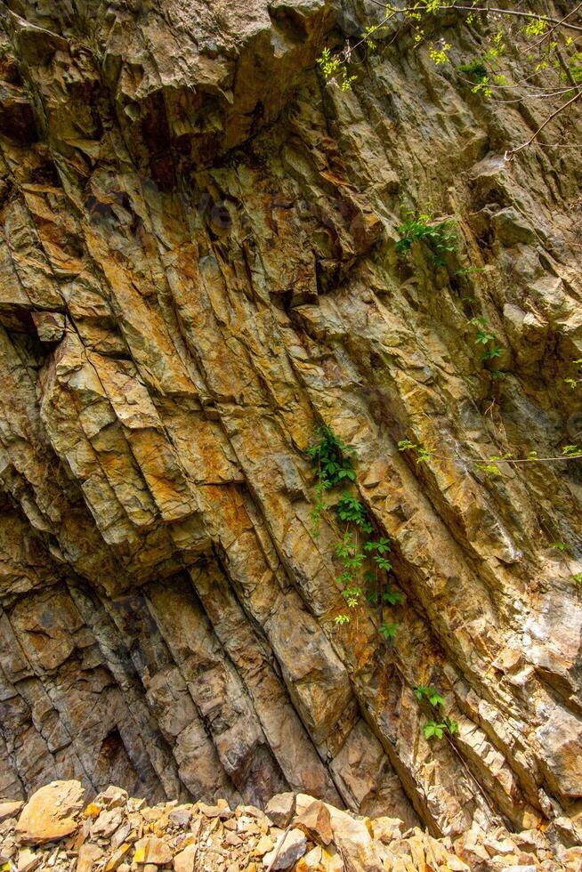 View of the Geological Outcrop with Cretaceous Rocks photo