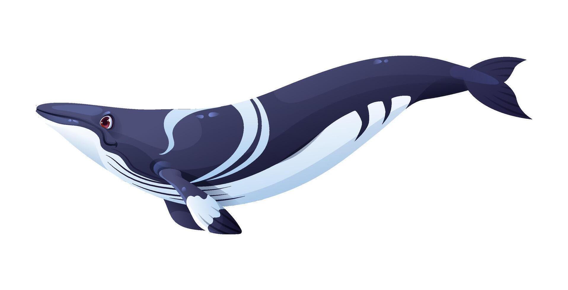 Cartoon whale character swimming underwater vector