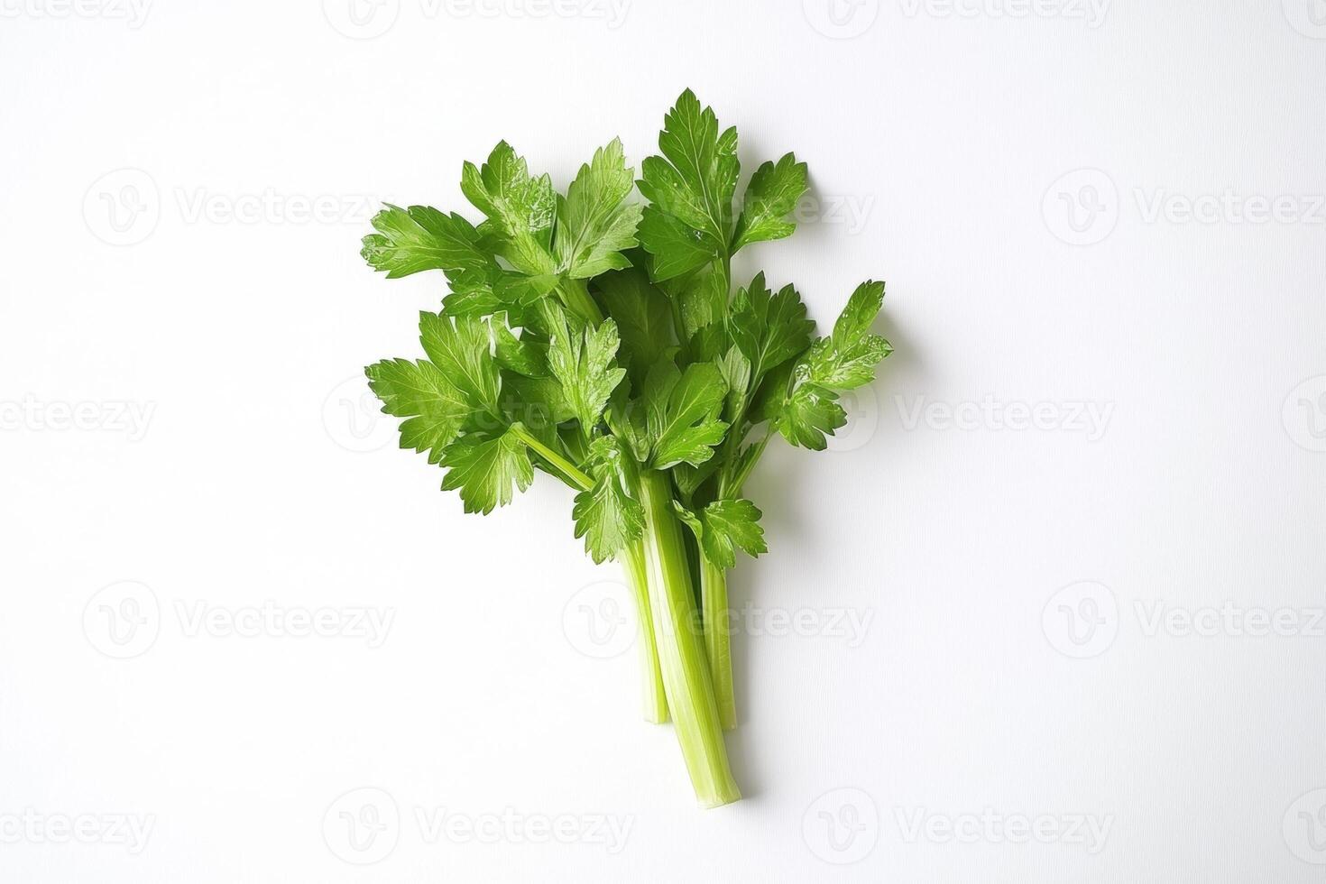 Fresh celery stalks isolated on a white background, showcasing vibrant green leaves and a crisp texture photo