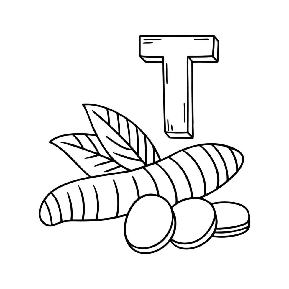 An illustration of letter T stands for T Turmeric vector