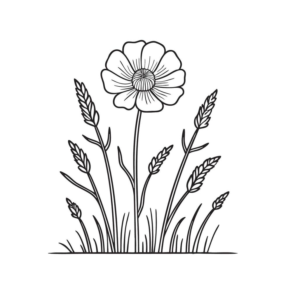 A tickseed blooming beside tall grass in a meadow vector