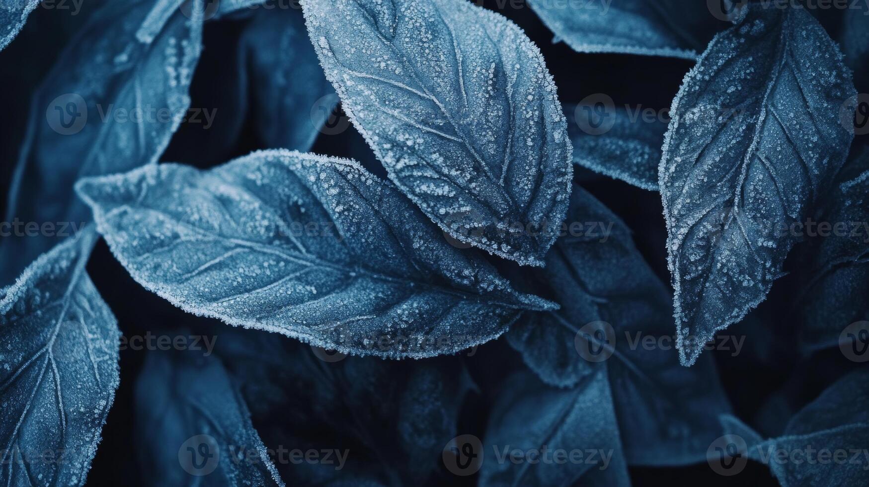 Close-up of frozen winter leaves with intricate frost crystals showcasing a delicate icy texture in beautiful blue tones photo