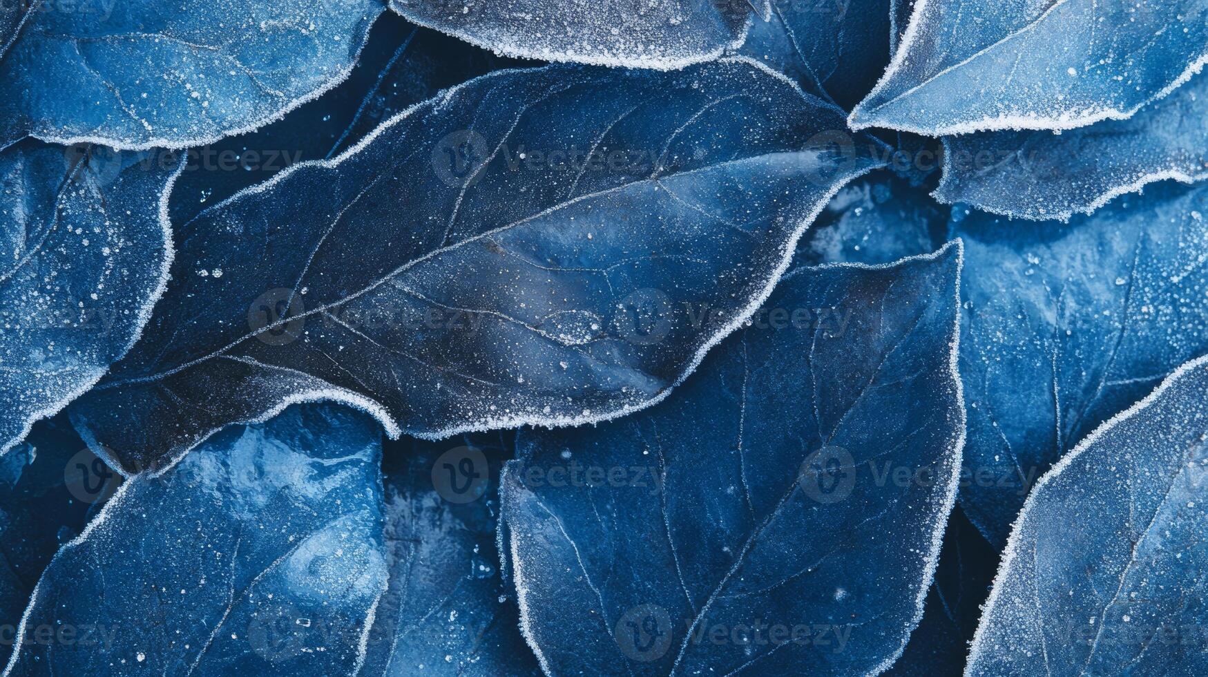 Close-up of frozen winter leaves covered with frost crystals in delicate blue tones during a chilly season photo