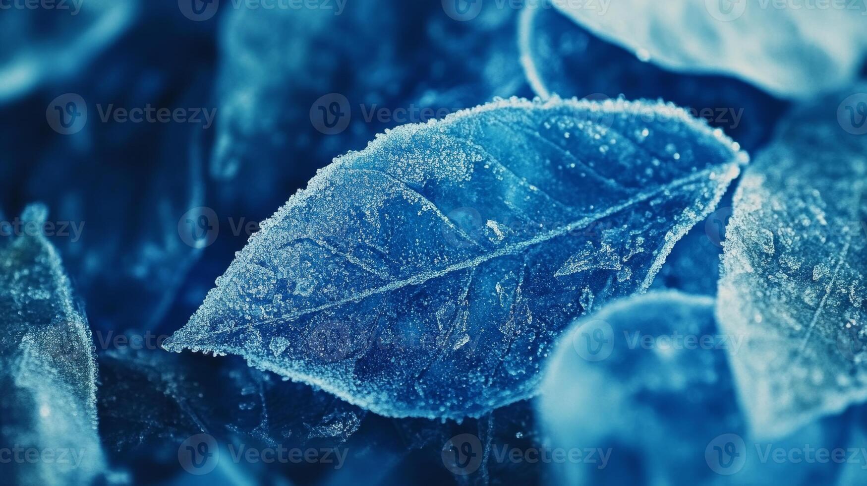 Frost-covered winter leaves glisten in blue tones under icy conditions, showcasing a delicate frozen landscape photo