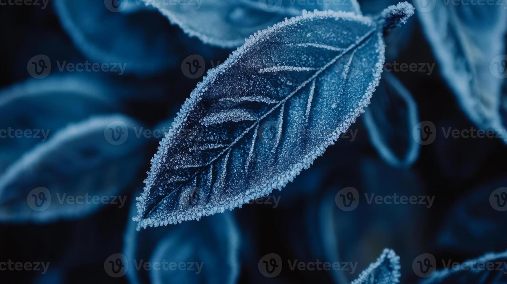 Close-up of frozen winter leaves adorned with frost crystals in delicate blue tones, showcasing nature's icy beauty during a chilly season photo