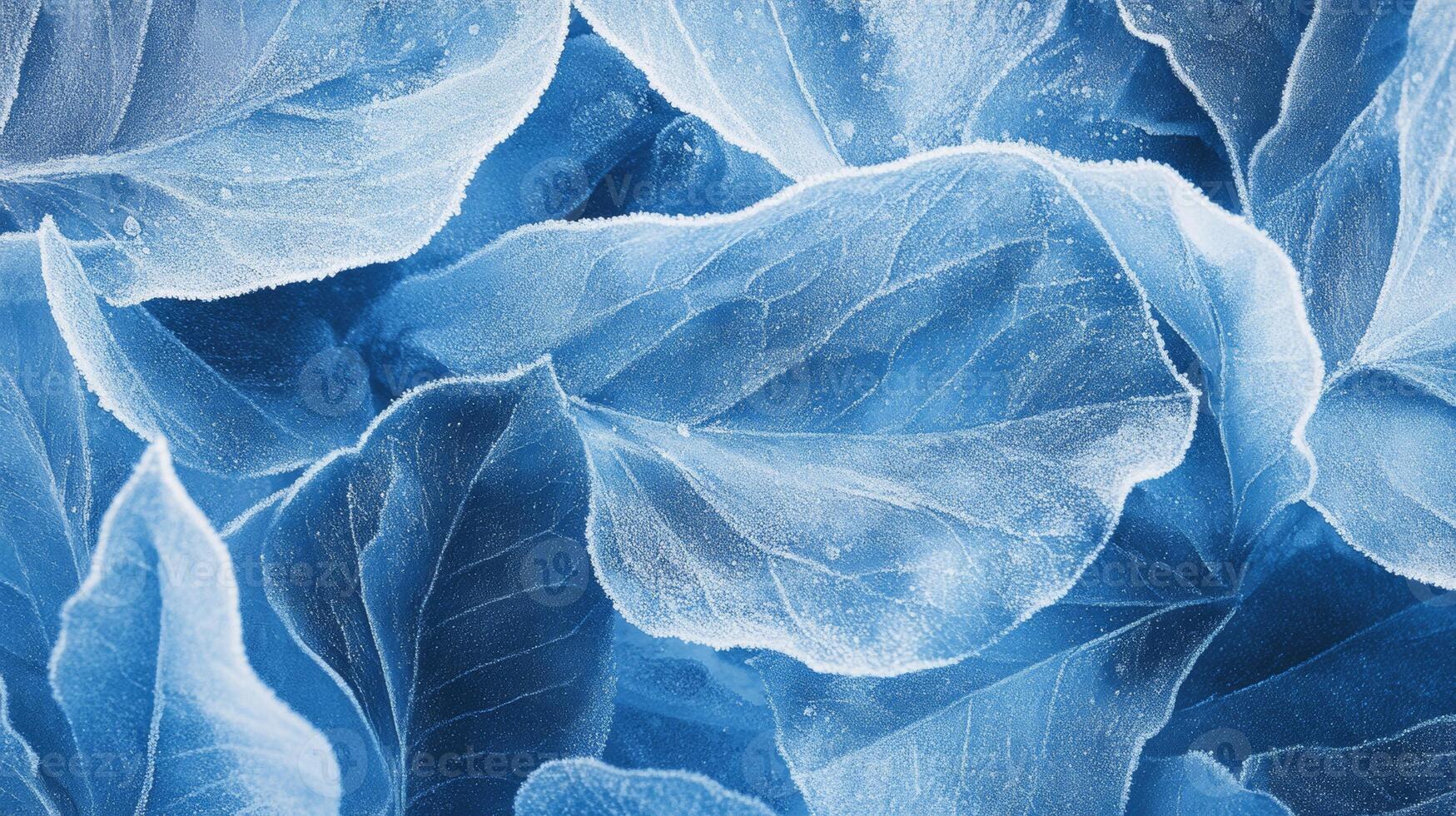 Close-up of frozen winter leaves adorned with delicate frost crystals, showcasing an icy and blue-toned texture in a serene winter atmosphere photo