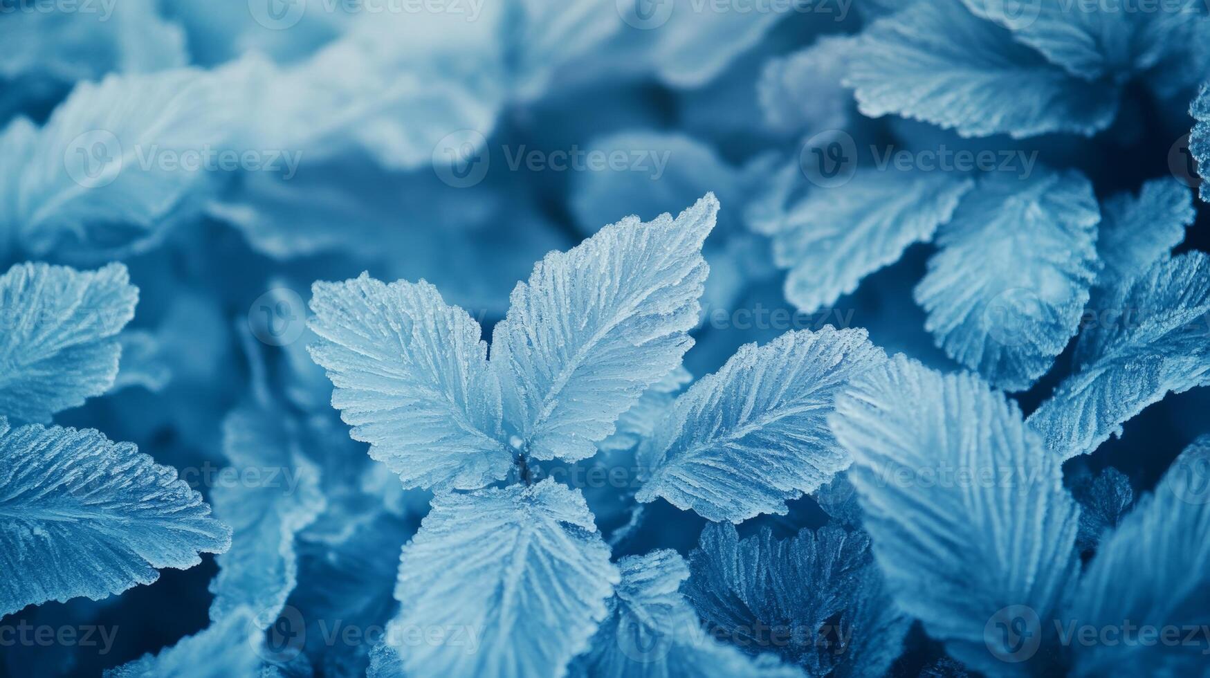 Frost-covered winter leaves with delicate crystals showcasing icy blue tones during a cold morning in nature's serene landscape photo