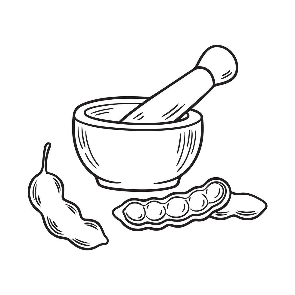 Tamarinds pod split open beside a mortar and pestle vector