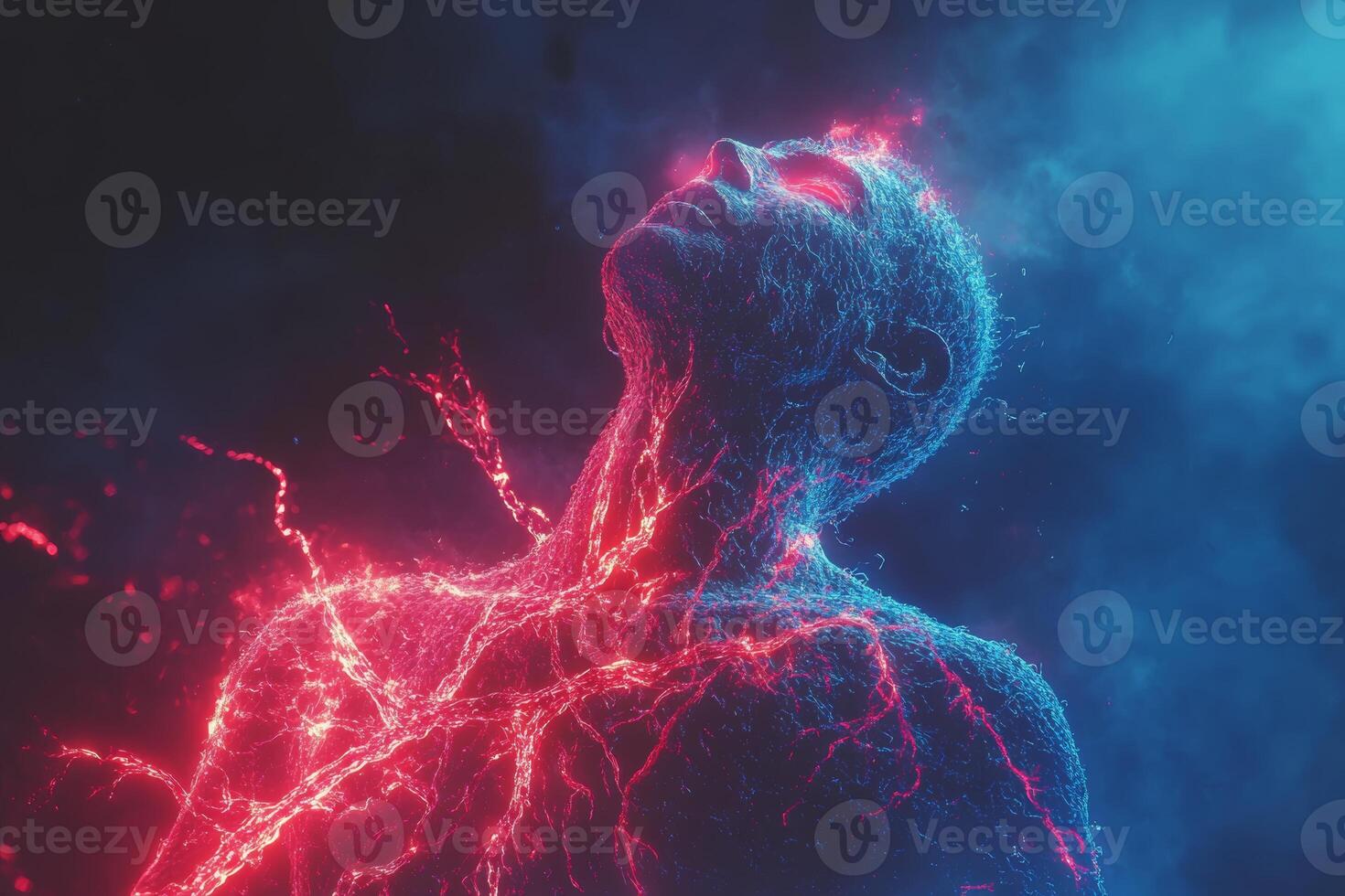 Visualization of the vascular system depicting the circulation of blood through bright red arteries and blue veins in a human body photo