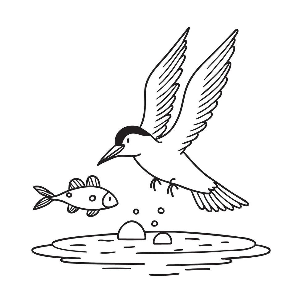 A tern circling above fish in shallow water vector