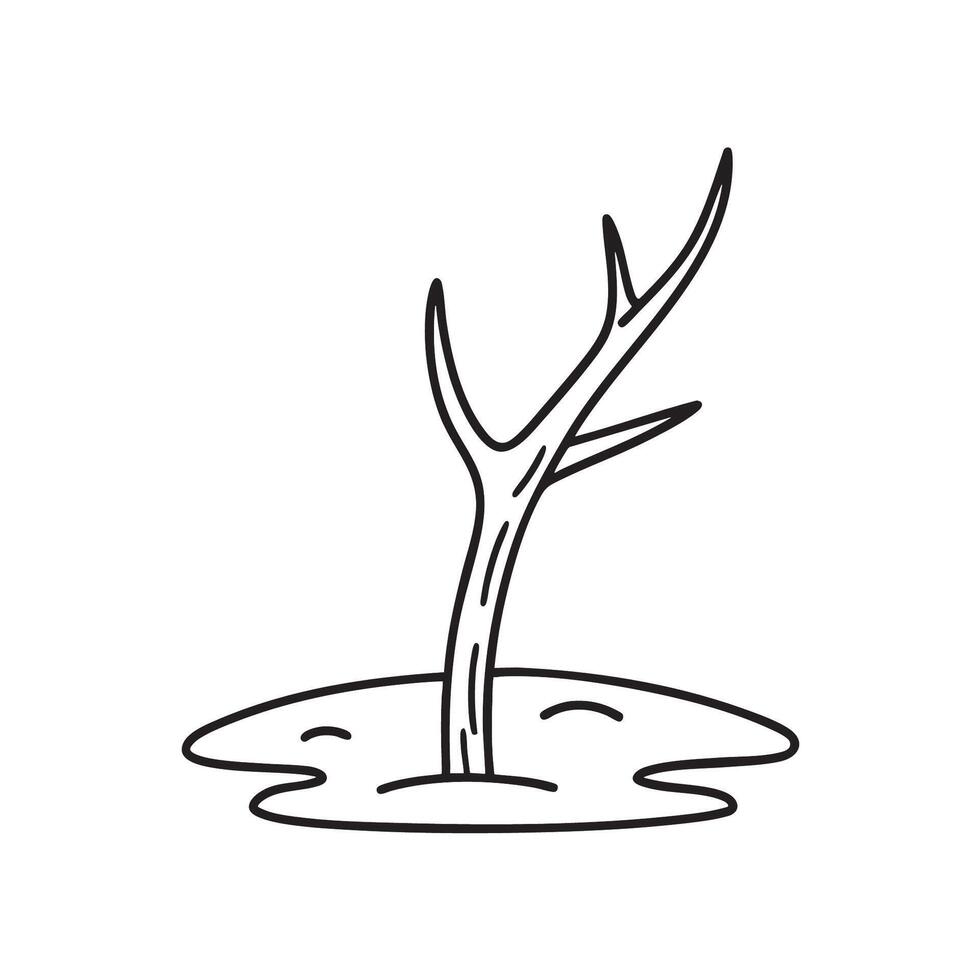 A thorn poking out from a dry branch on the ground vector