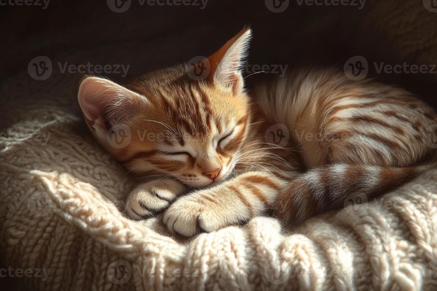 A cozy kitten sleeping peacefully on a soft knitted cushion illuminated by gentle natural light photo