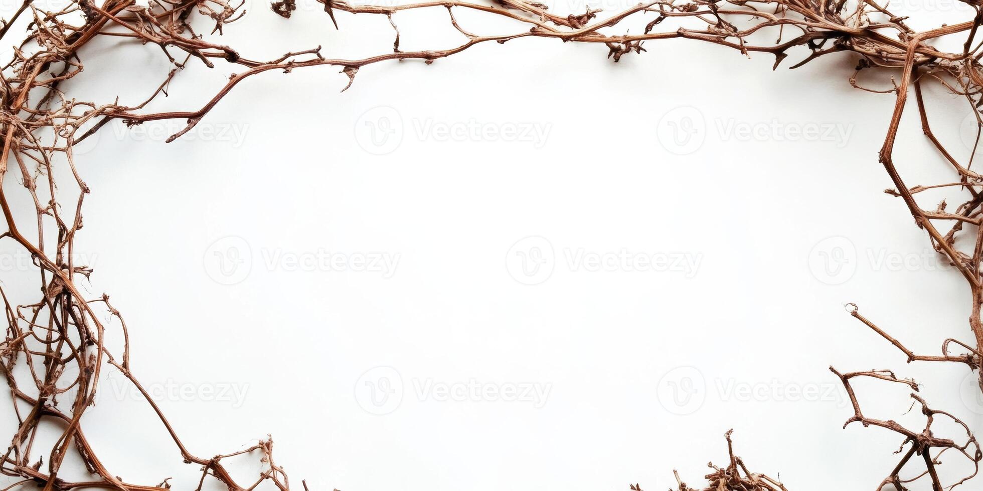 Dry twisted vines form a natural frame on a plain white background, perfect for artistic displays or invitations photo