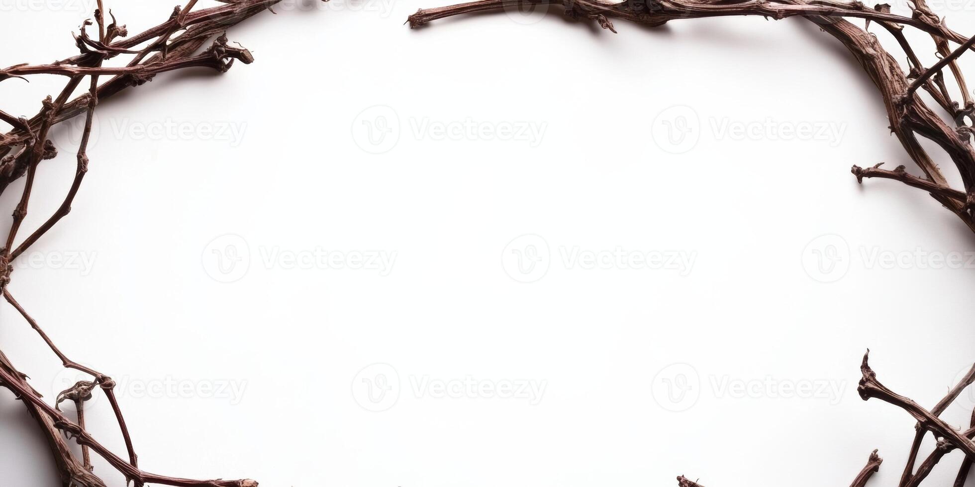 Decorative arrangement of grapevine branches on a neutral background for artistic projects photo