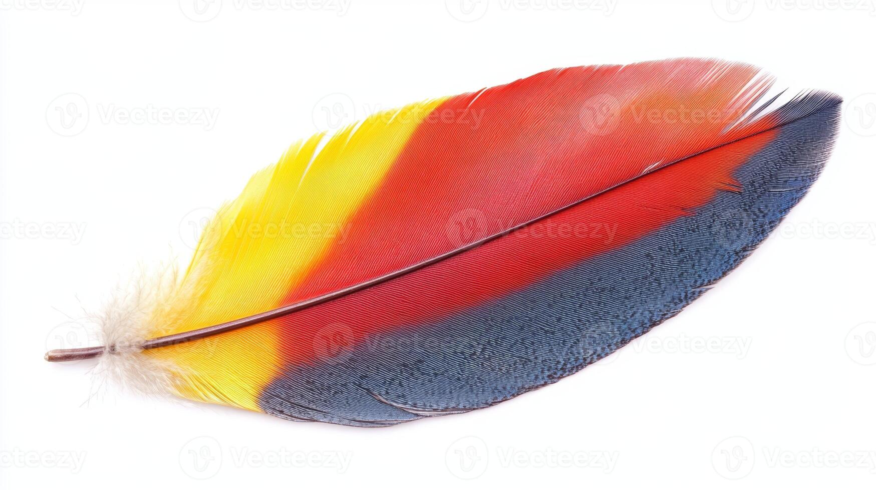 Vibrant feather showcasing bright colors and intricate details found in nature during a sunny day photo