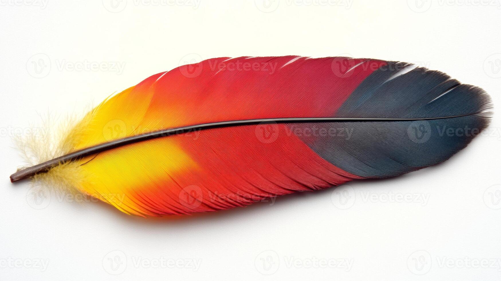 Colorful feather resting on a white surface showcasing vibrant hues of yellow, red, and blue in natural light photo
