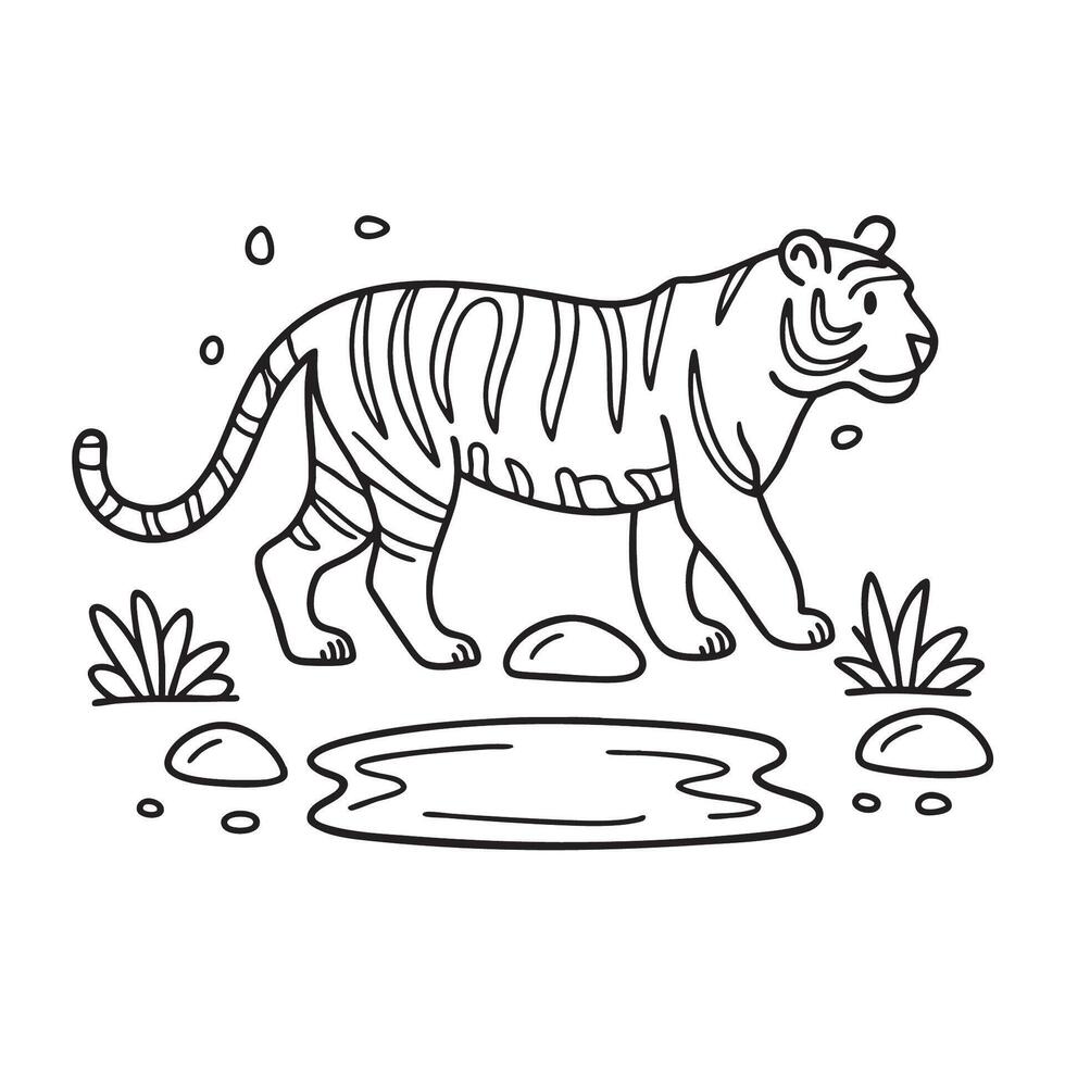 A tiger walking near a pond surrounded by rocks vector