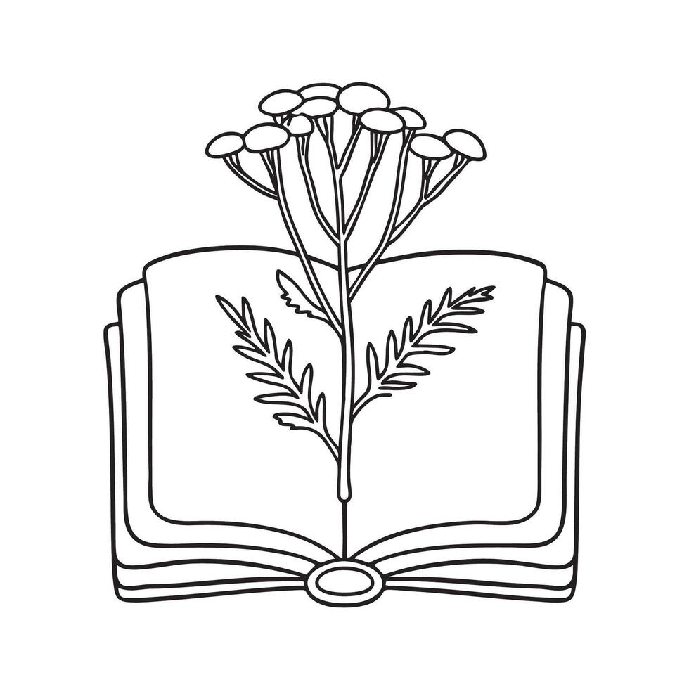 A tansy tucked between pages of an open field guide vector