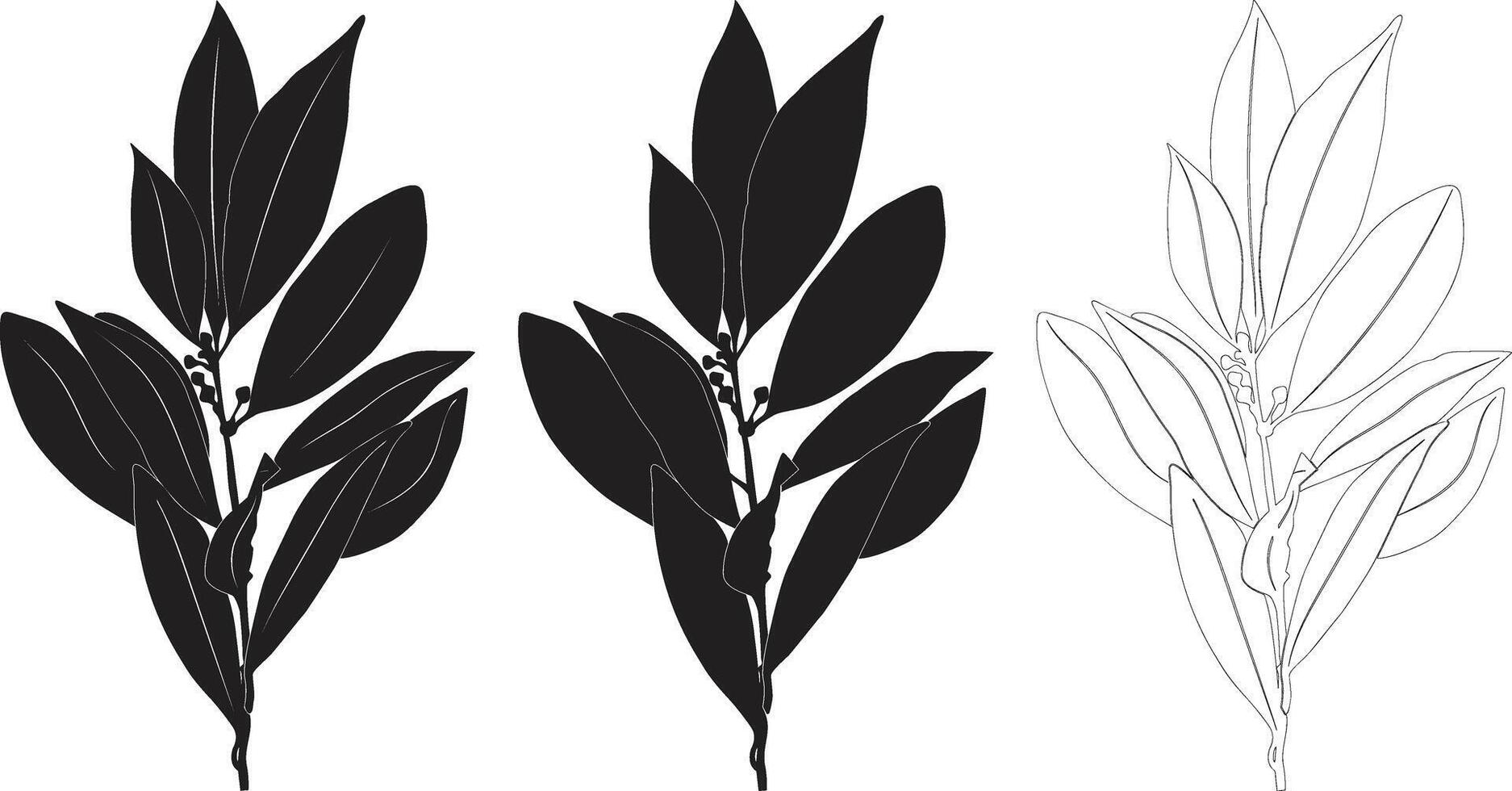 Laurel Leaf Silhouette Set, Botanical Herb Clipart for Logos, Crafts and Design Projects vector