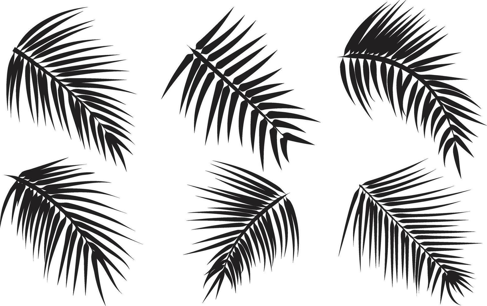Palm Leaf Silhouette Set on Transparent Background vector