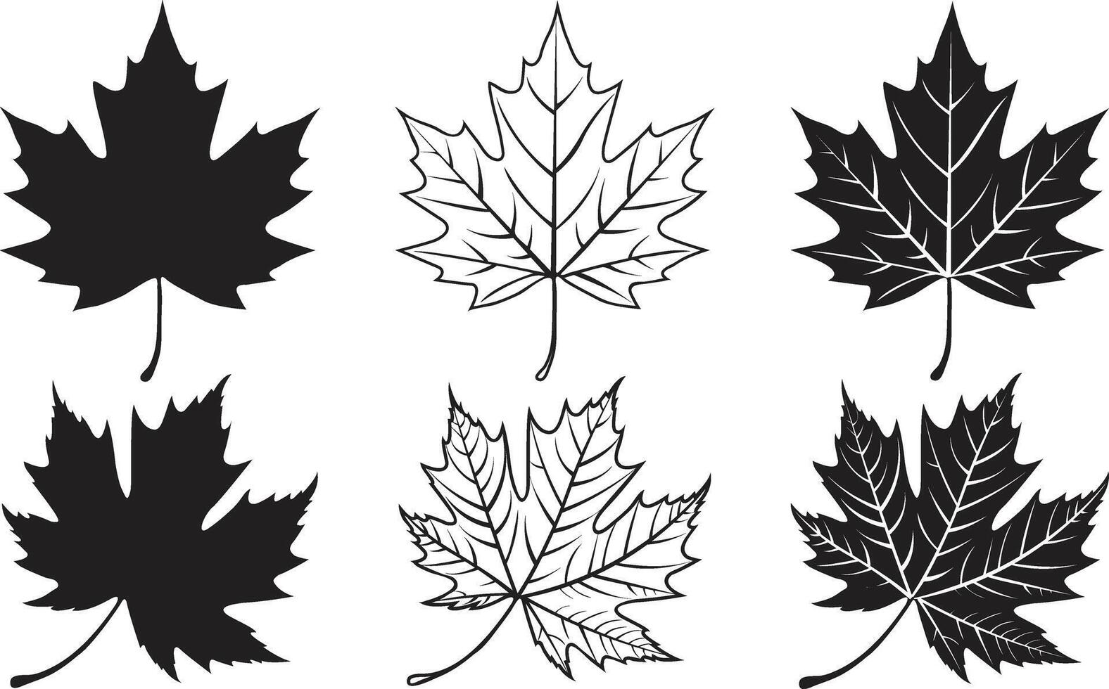 Maple Leaf Silhouette and Outline Collection vector