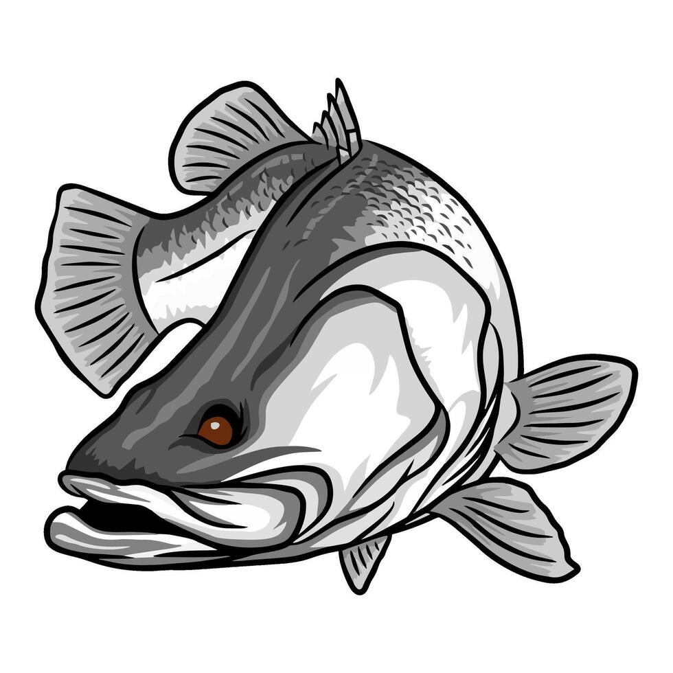 Illustration of a barramundi fish with its mouth slightly open, presented in a dynamic pose. The artwork showcases the fish's distinctive features and coloration in black and white vector