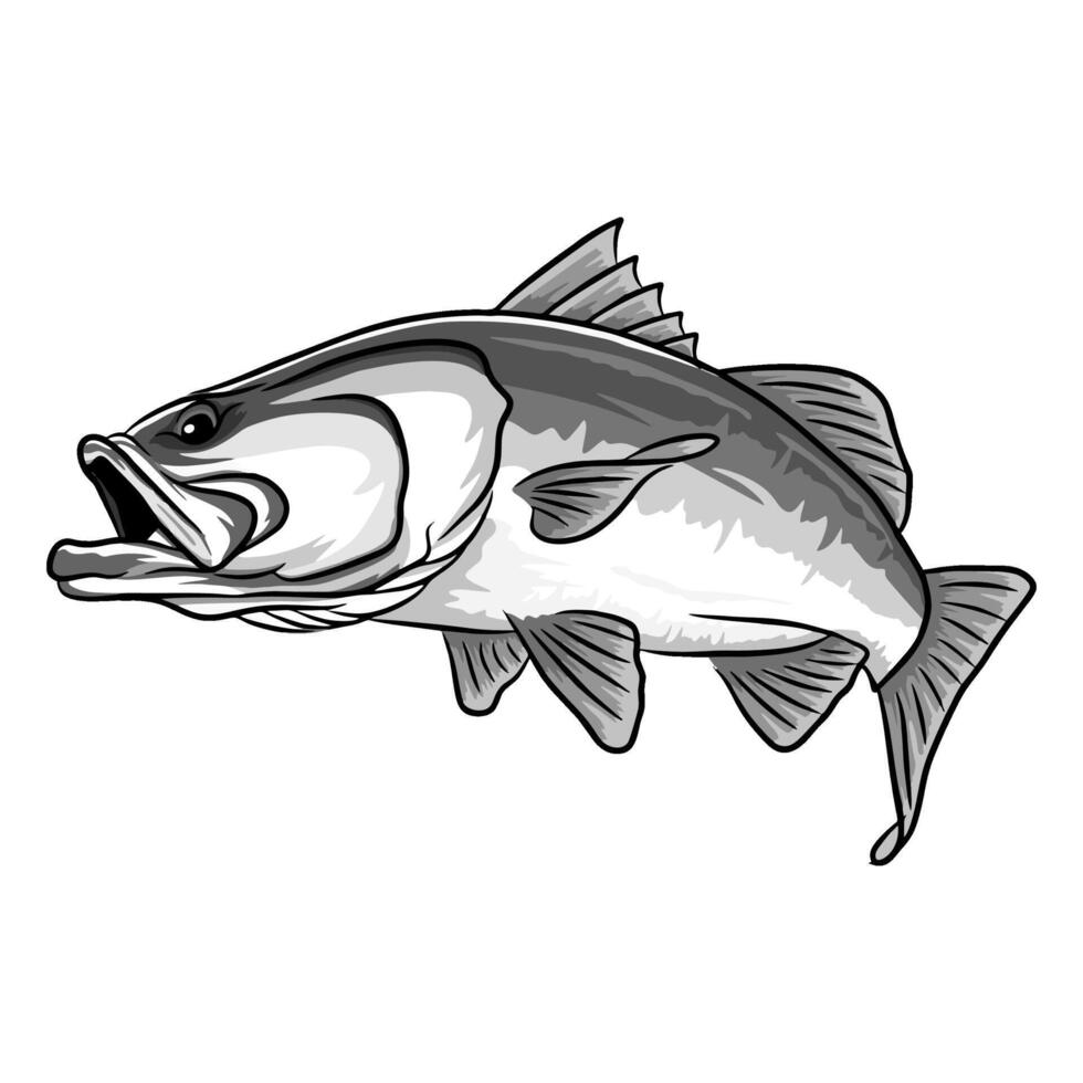 Close up illustration of a barramundi fish with its mouth slightly ajar, viewed from a low angle. The drawing emphasizes the fish's head and facial details in black and white vector
