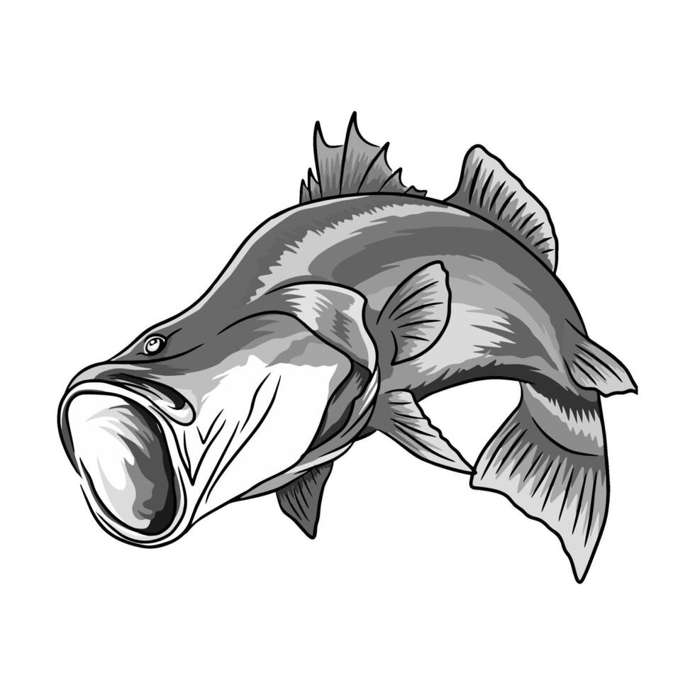 barramundi fish with its mouth wide open The artwork provides a unique perspective of the fish and the inside of its mouth in black and white vector