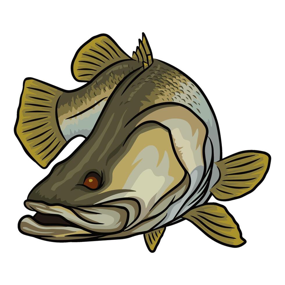 Illustration of a barramundi fish with its mouth slightly open, presented in a dynamic pose. The artwork showcases the fish's distinctive features and coloration. vector
