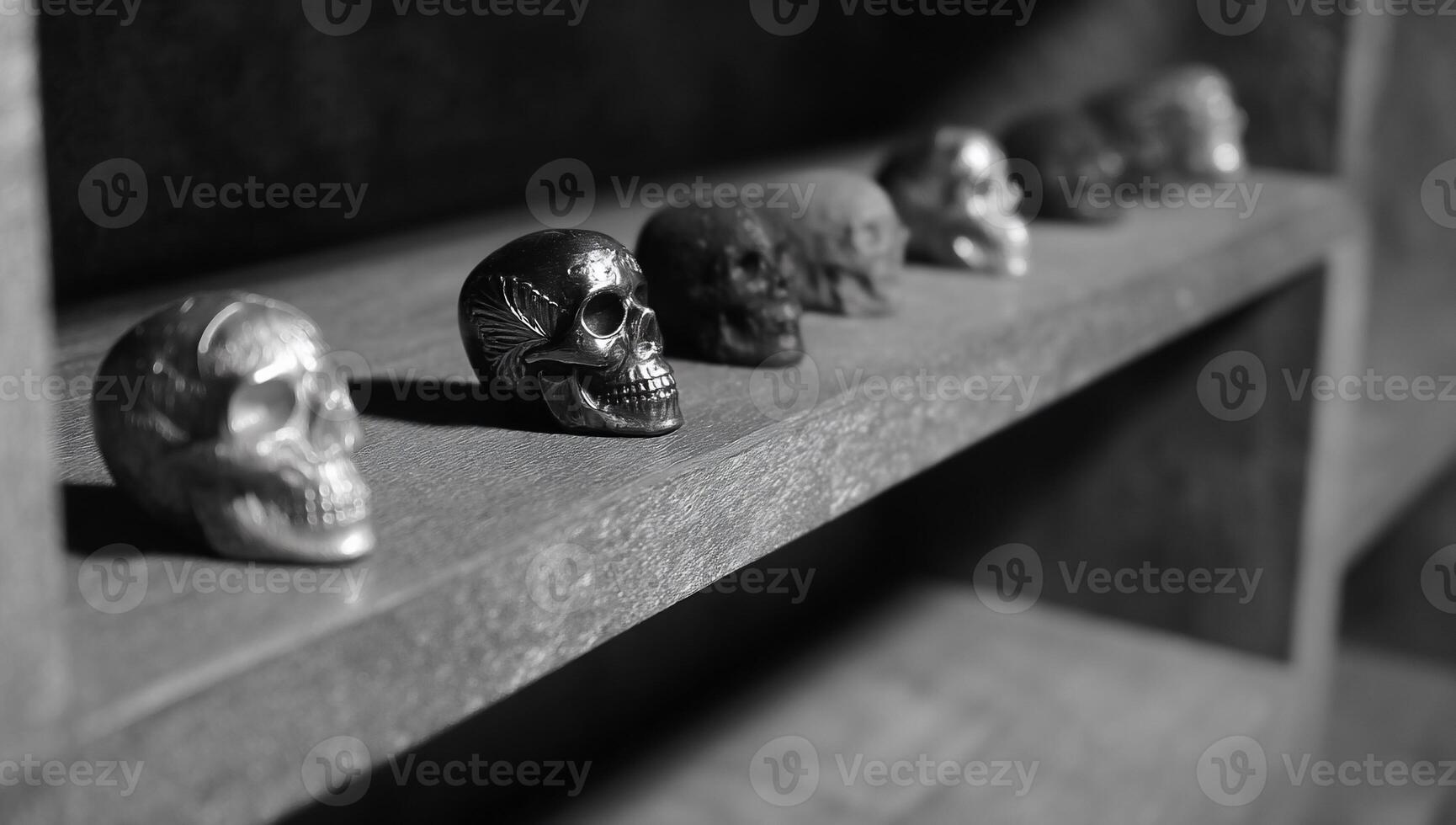 A row of skulls on a shelf photo