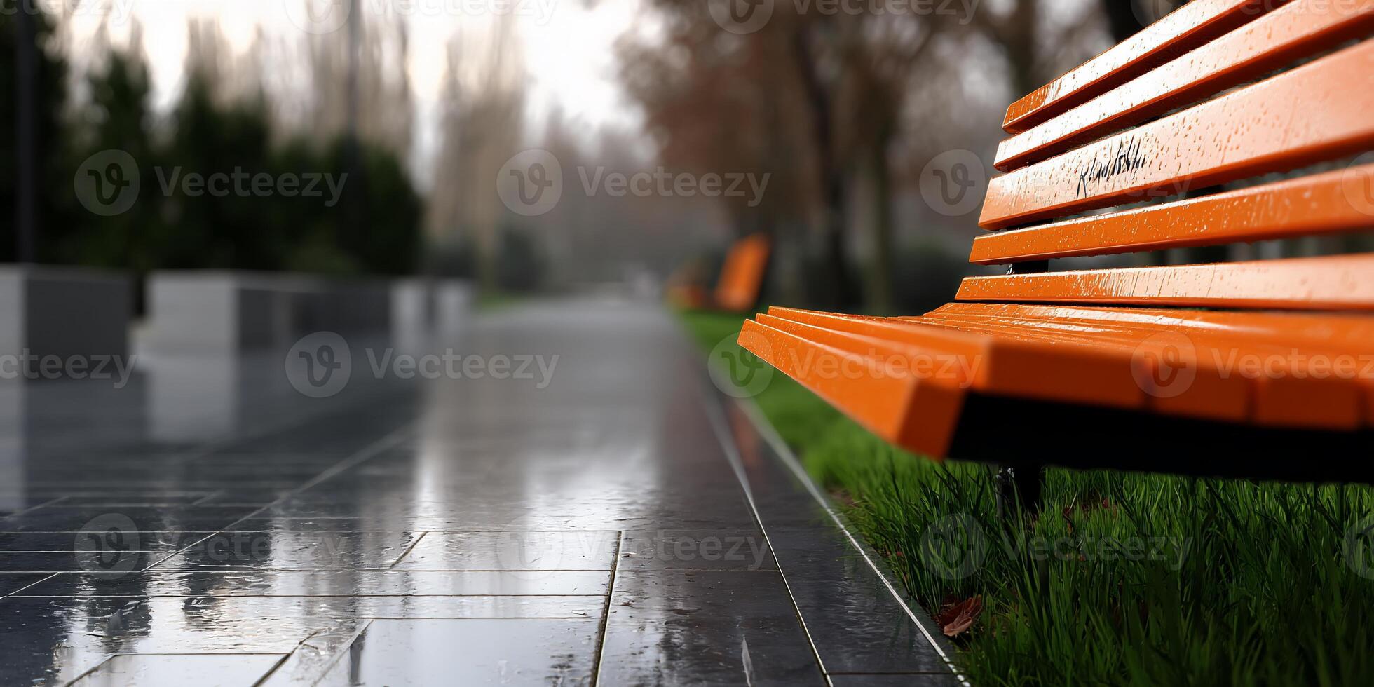 A bench is sitting on a wet sidewalk photo