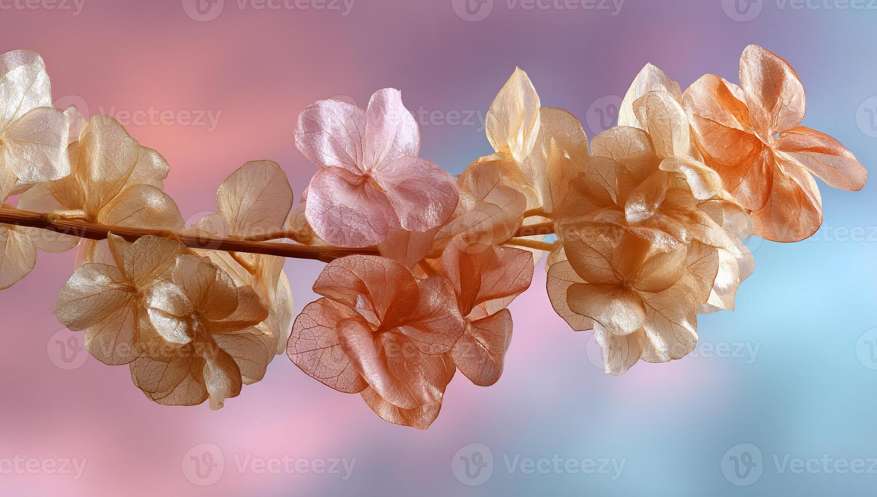 Delicate pastel flowers on a branch, soft focus photo