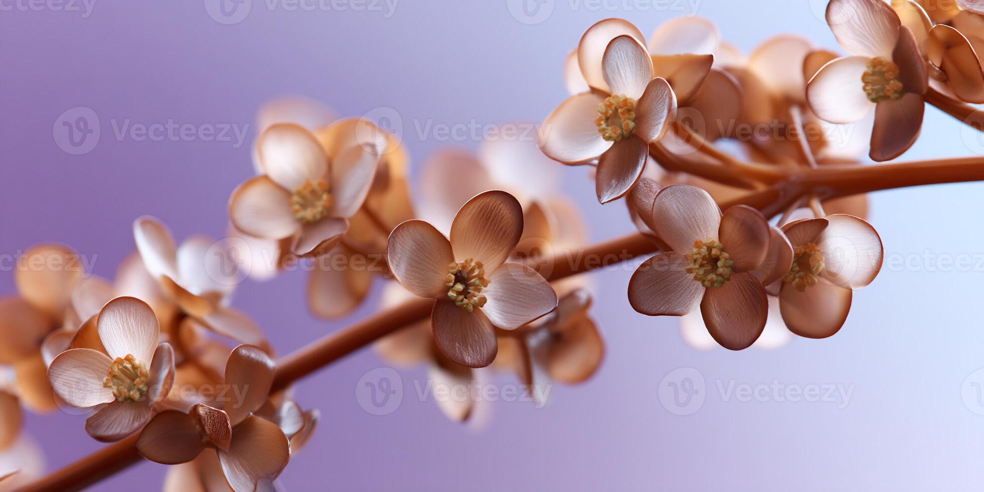 Delicate, light brown blossoms on a branch against a soft, purple background photo