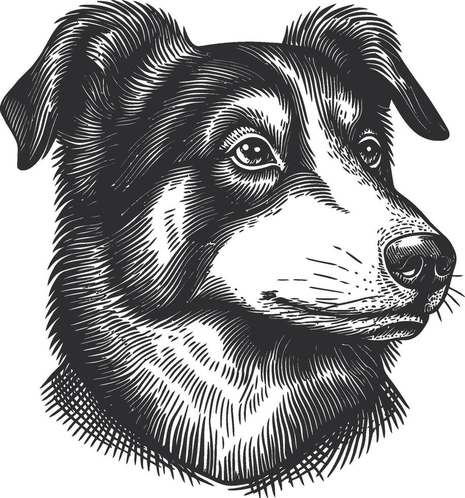 Detailed Illustration of a Dog's Head in Black and White Style vector