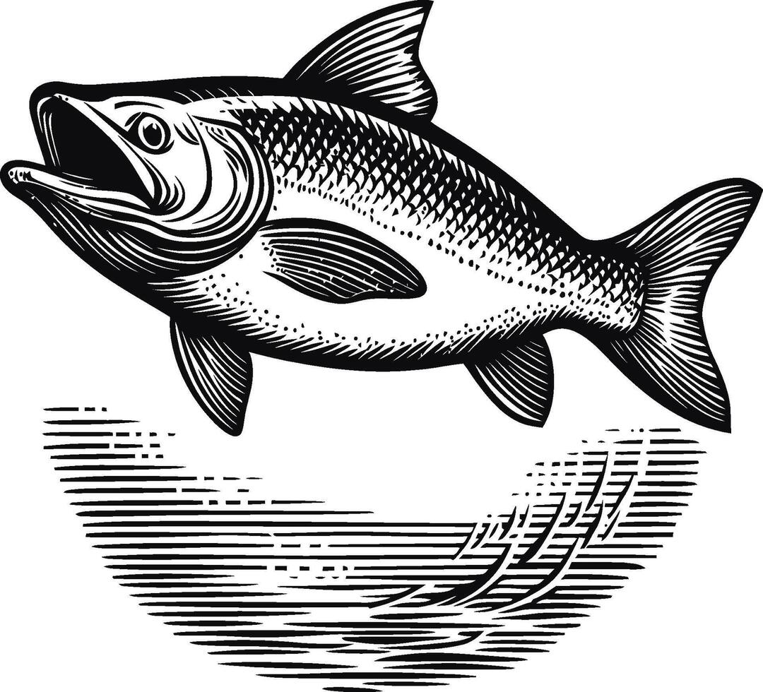 Detailed Illustration of a Jumping Fish in Artistic Style vector