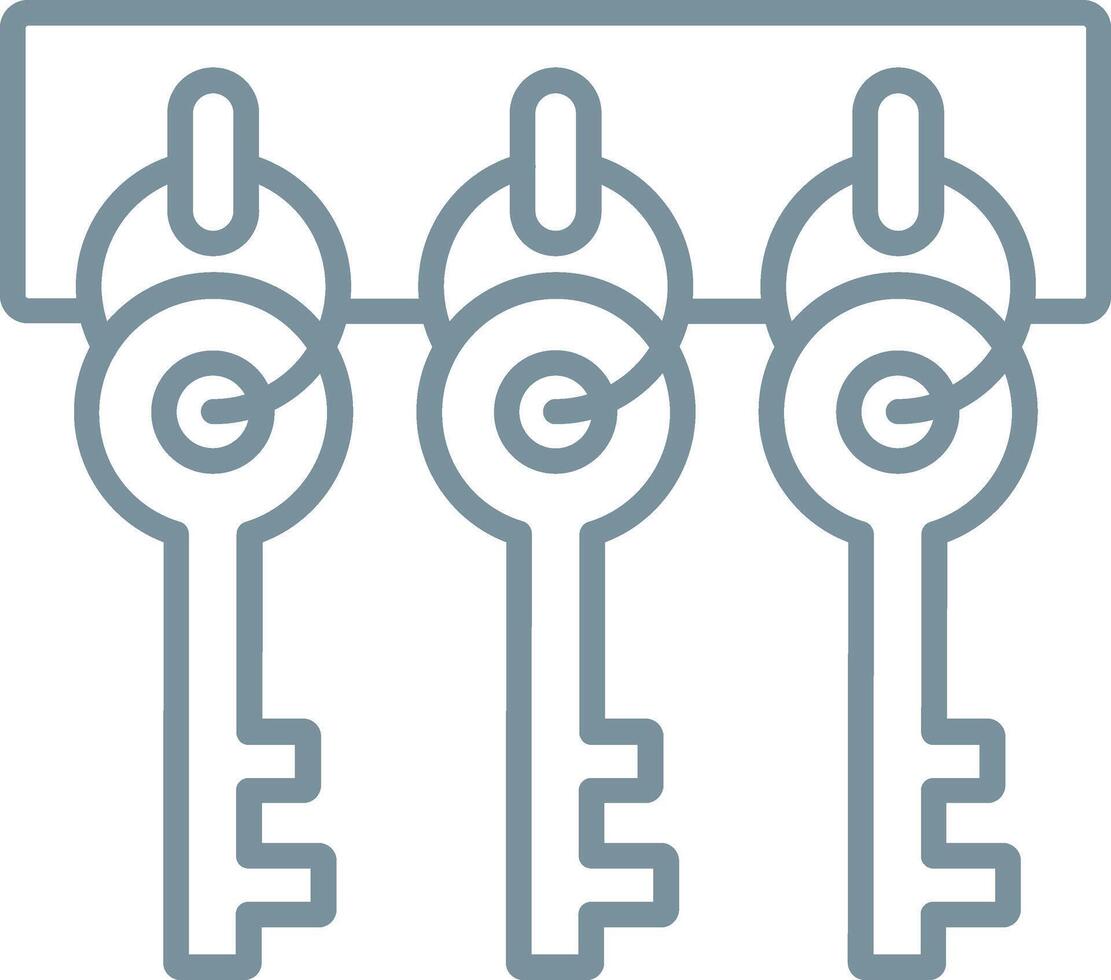 Key Hanger Line Icon vector