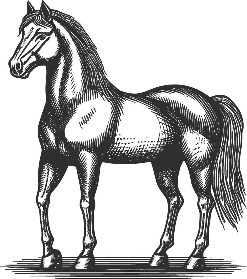 Detailed Horse Illustration in Vintage Style Line Art Drawing vector