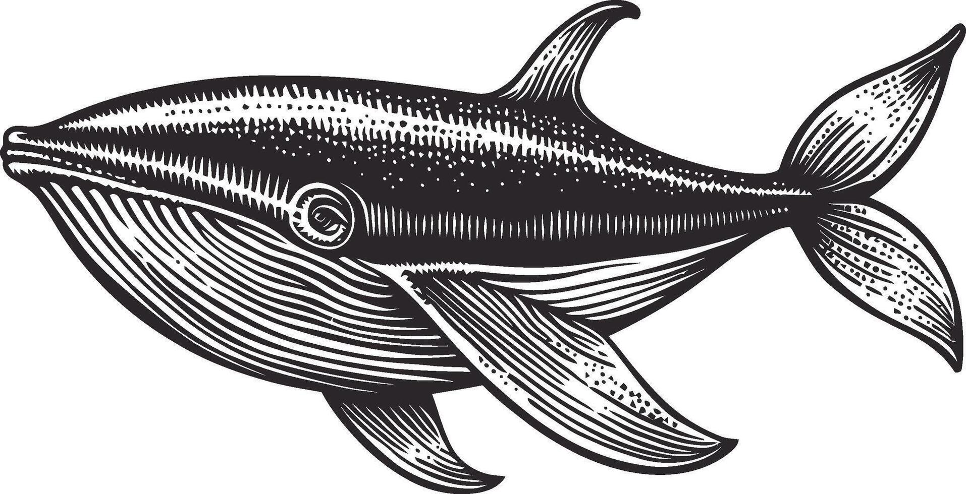 Detailed Illustration of a Stylized Whale in Black and White vector