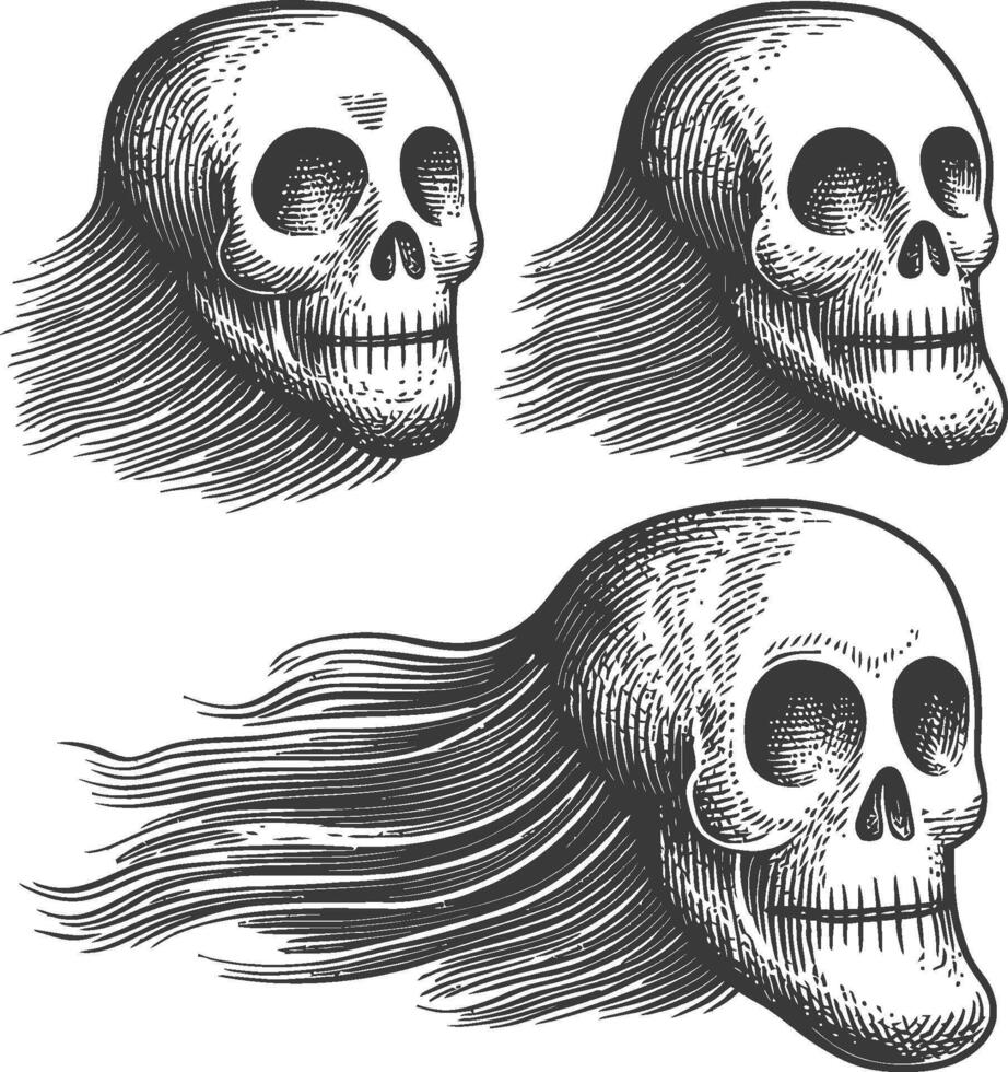 Detailed Vintage Skull Illustrations with Unique Motion Effects vector