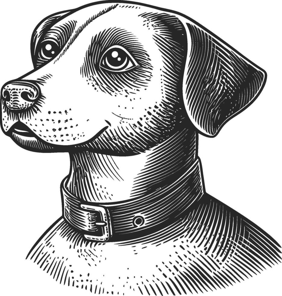 Detailed Illustration of a Dog with a Collar in Black and White vector