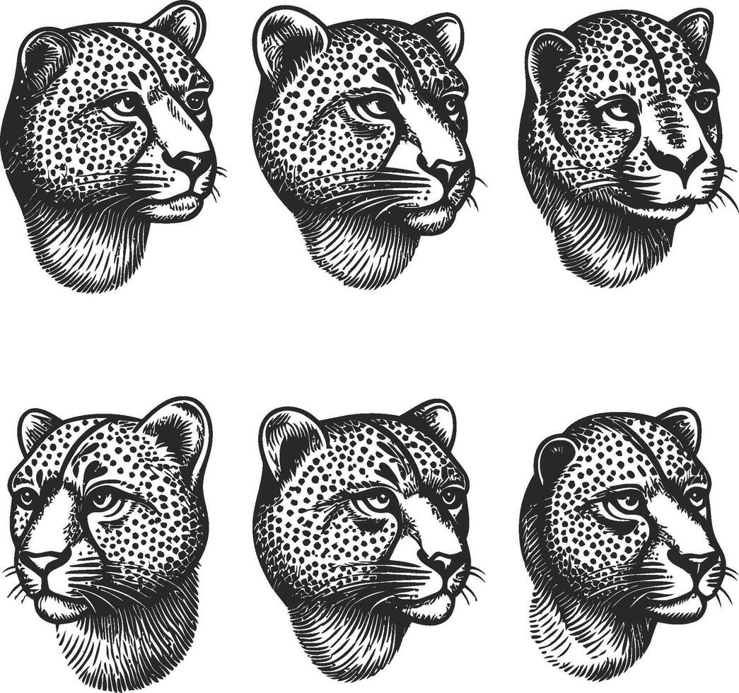 Detailed Illustration of Stylized Leopard Heads in Black and White vector