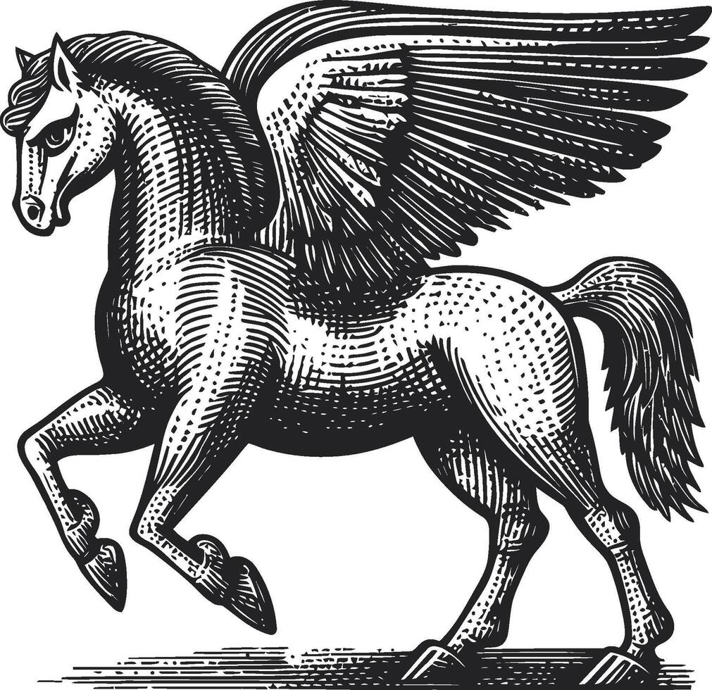Majestic Winged Horse Illustration in Classic Vintage Style vector