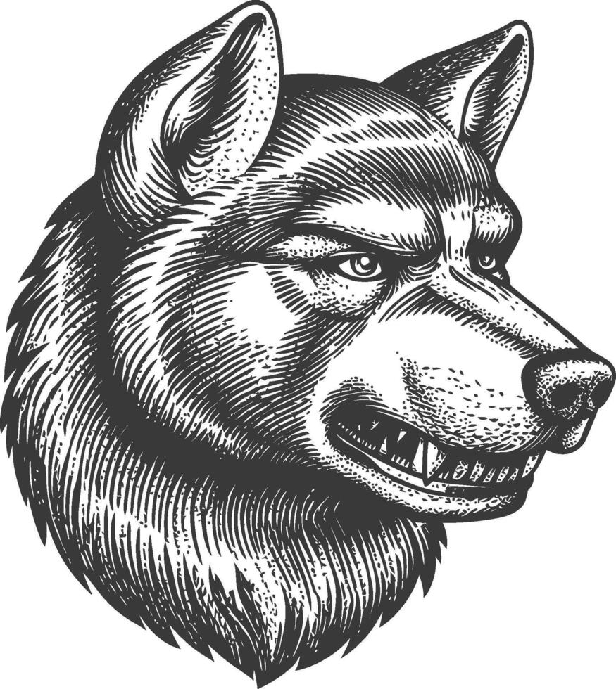 Illustrated Head of a Wolf in Detailed Black and White Art Style vector