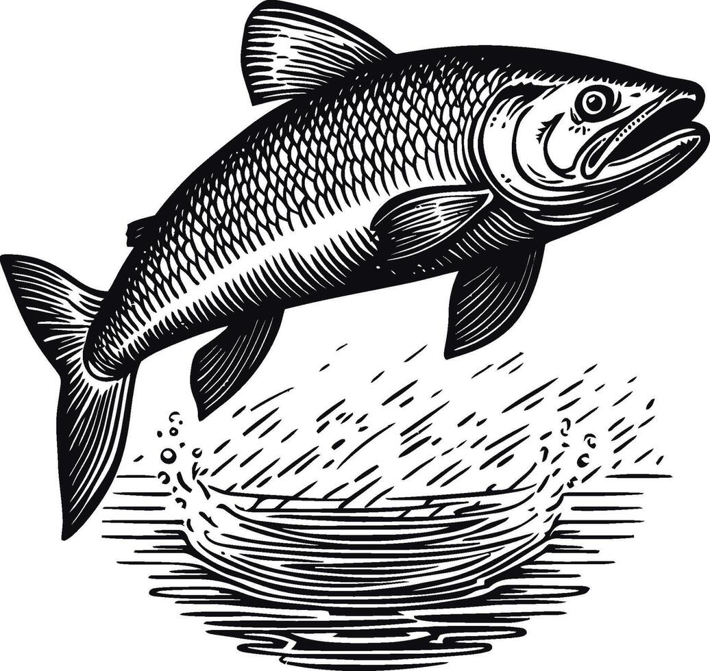 Detailed Illustration of a Leaping Fish Splashing Water Surface vector