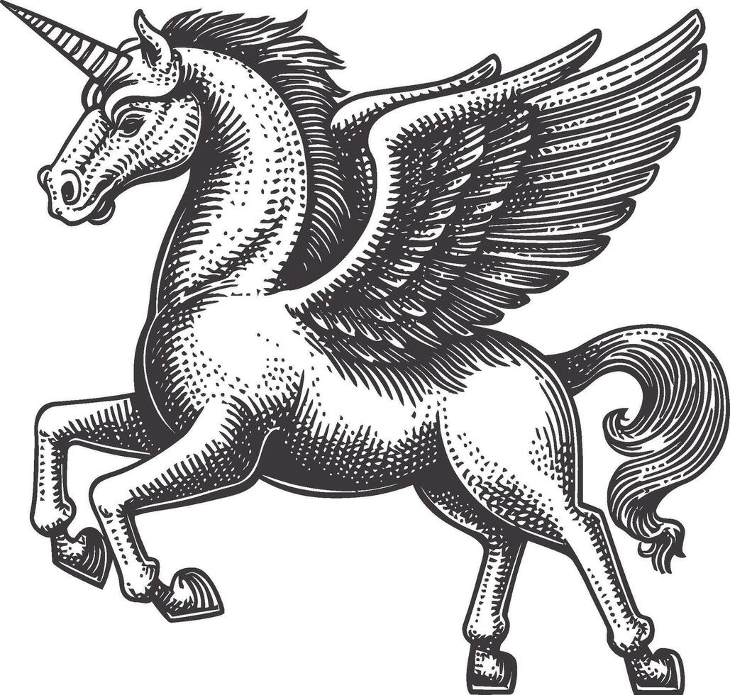 Elegant Winged Unicorn Illustration in Vintage Engraving Style vector