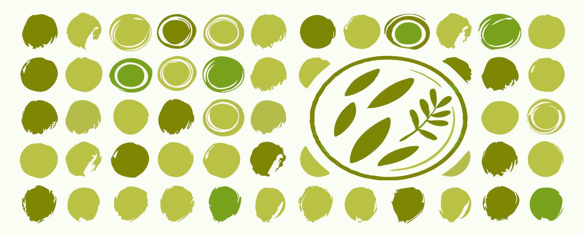 Olive Branch and Green Watercolor Circles Nature Design Elements vector