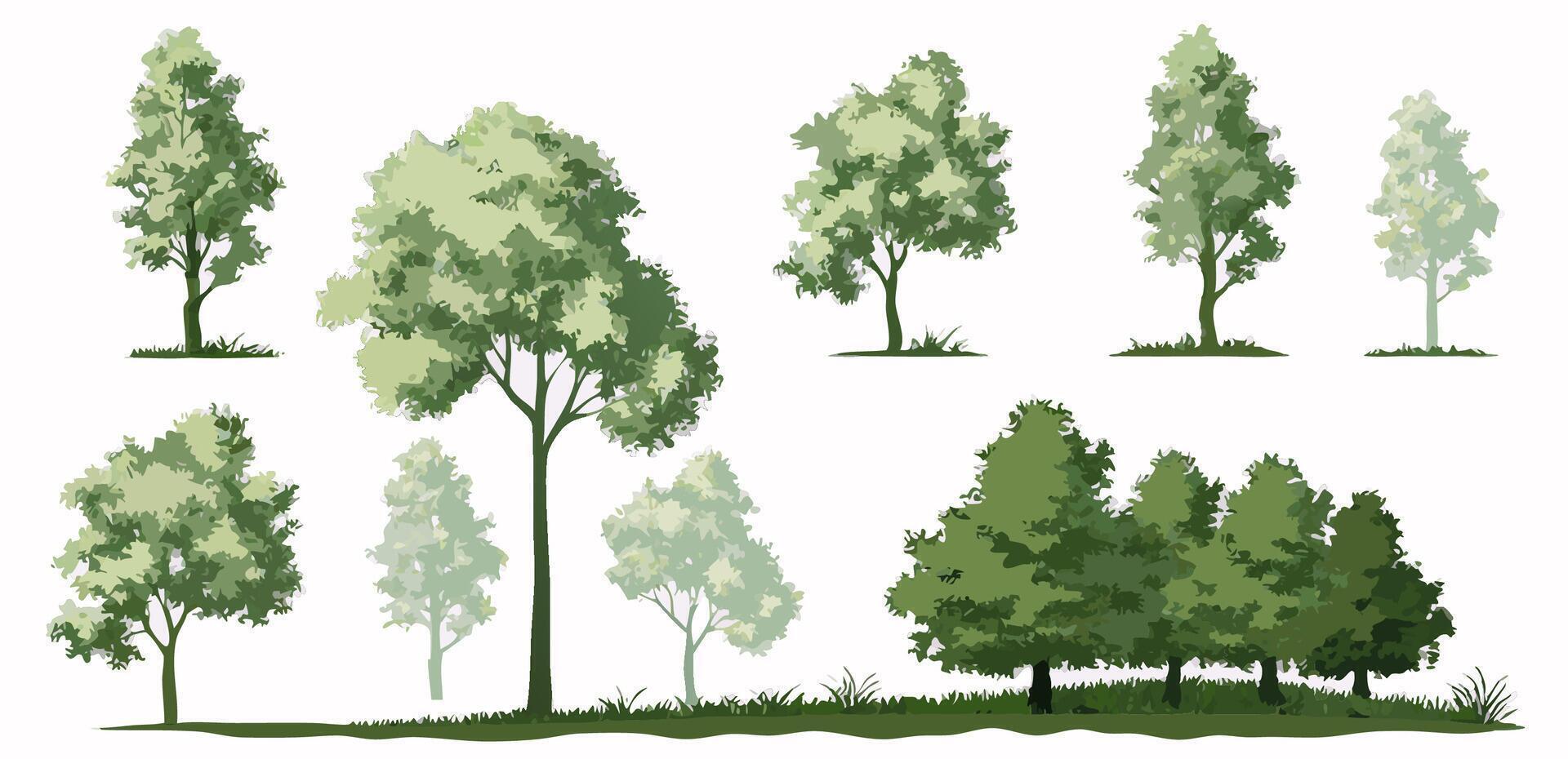 Collection of Green Trees, Various Sizes and Styles, Landscape Design Elements vector