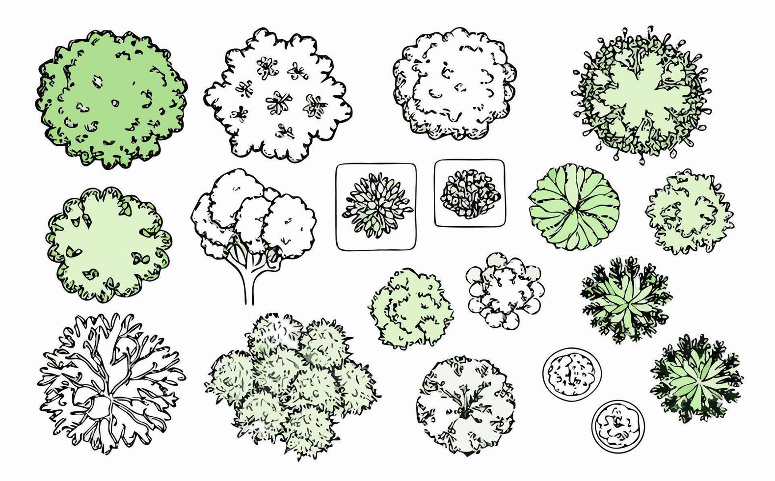 Top View Collection of Trees, Shrubs and Plants for Landscape Design vector