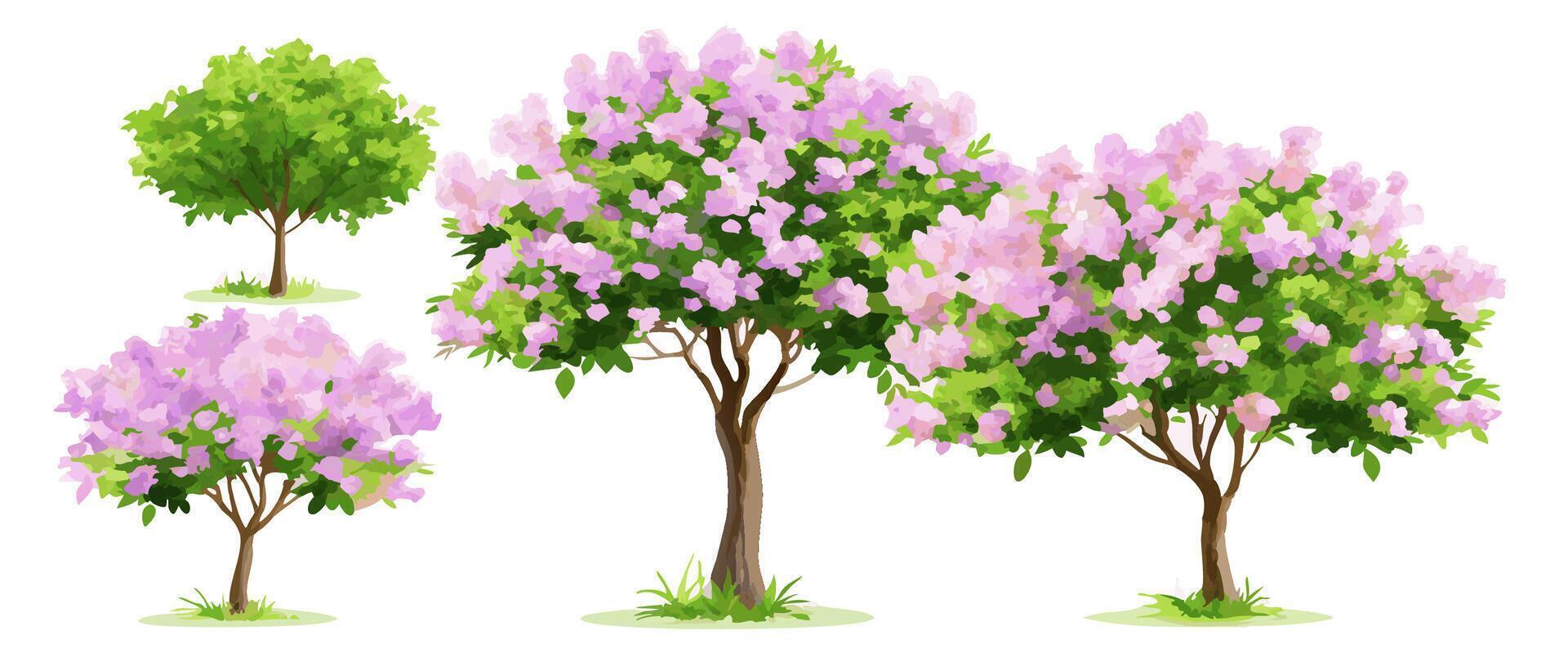 Pink and Green Flowering Trees, Spring Blossoms, Nature Illustration vector