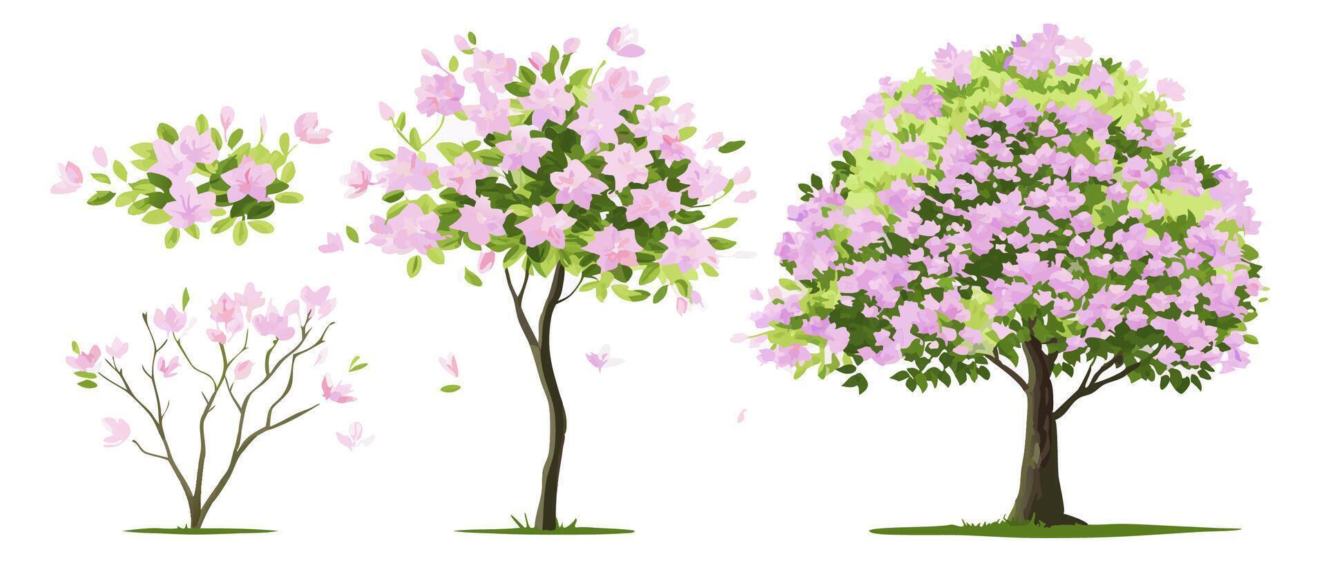 Pink Flowering Trees, Blossoms, Spring, Nature Illustration vector